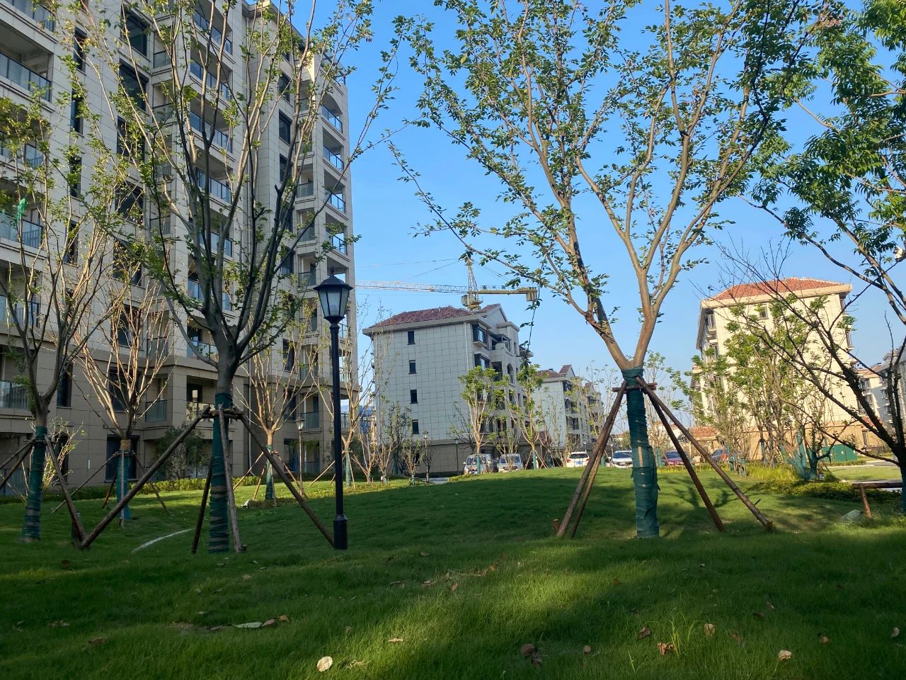 朗诗九龙熙岸效果图